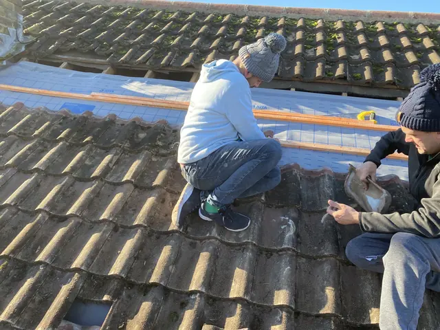 Two Weathershield roofers kneeling on a tiled roof, fitting new membrane along the ridge
